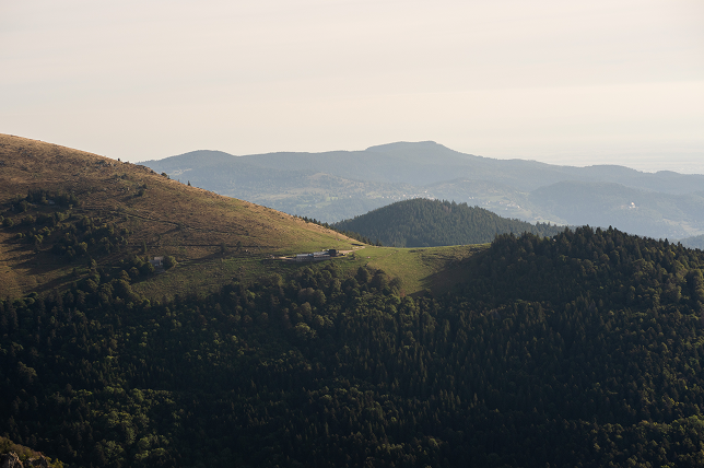 Paysage des vosges